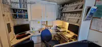 Ro-Ro ship for sale