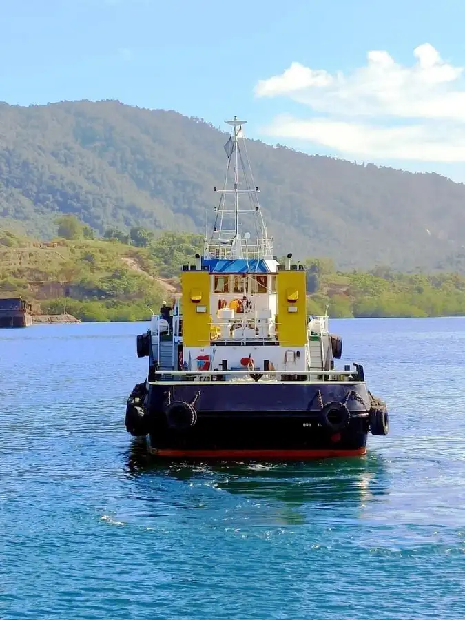 Towboat for sale