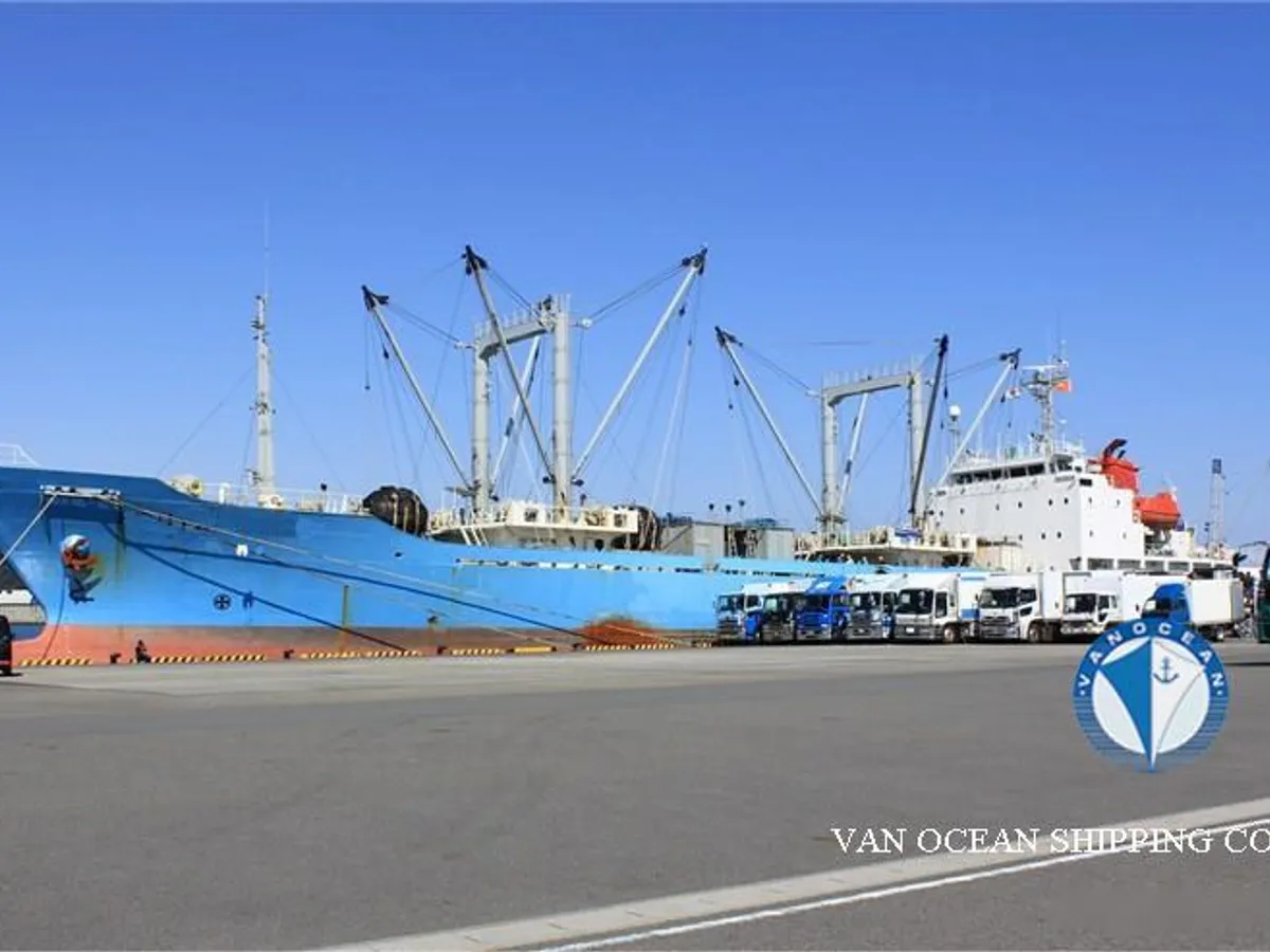 Reefer ship for sale