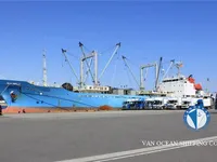 Reefer ship for sale