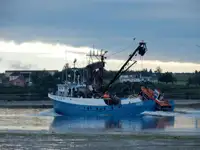 Purse seiner for sale