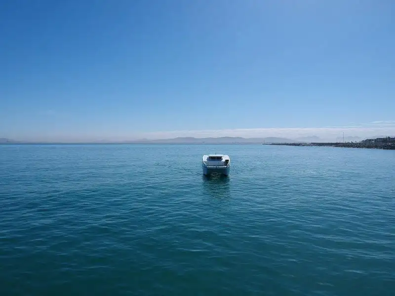 Catamaran for sale