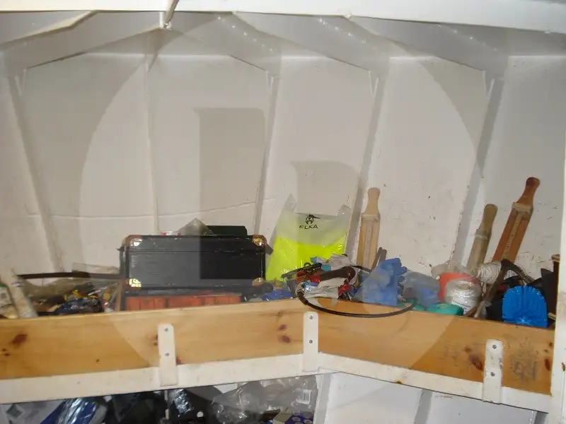Live fish carrier for sale