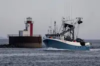 Purse seiner for sale
