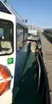Workboats for sale