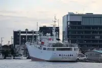 Trawler for sale