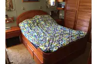 Cruise ship for sale