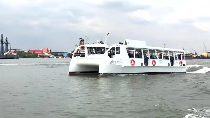 Catamaran for sale