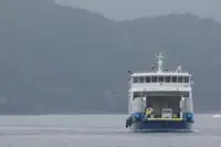 Ro-Ro ship for sale