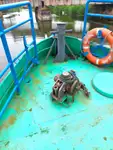 Workboats for sale