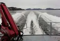 Workboats for sale