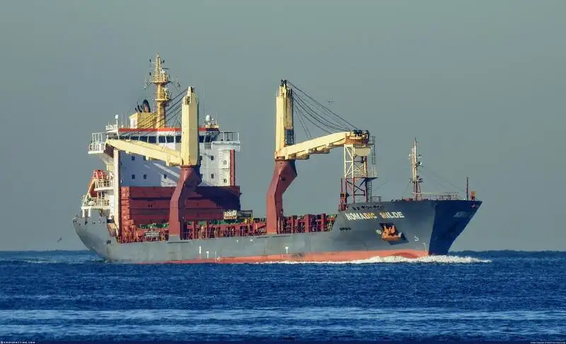 Bulk carrier for sale