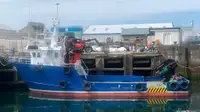 Workboats for sale