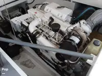 Dive support for sale