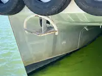 Catamaran for sale