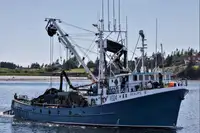 Purse seiner for sale