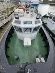 Towboat for sale