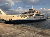 Ro-Ro ship for sale