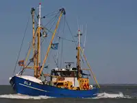 Trawler for sale