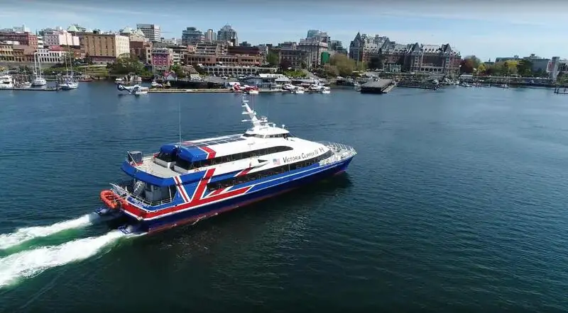 Catamaran for sale