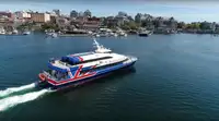Catamaran for sale