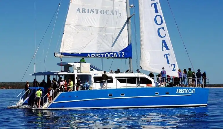 Catamaran for sale