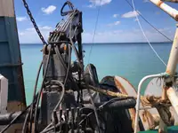Trawler for sale