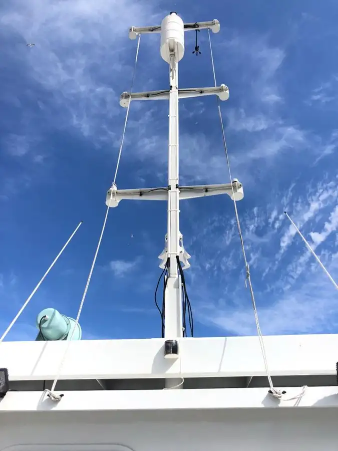 Catamaran for sale