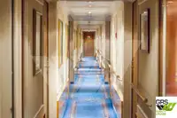 Cruise ship for sale
