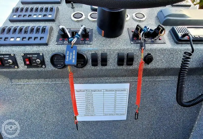 Catamaran for sale