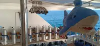 Dive support for sale