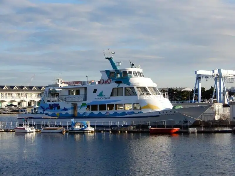 Cruise ship for sale