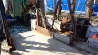 Trawler for sale