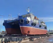 Catamaran for sale