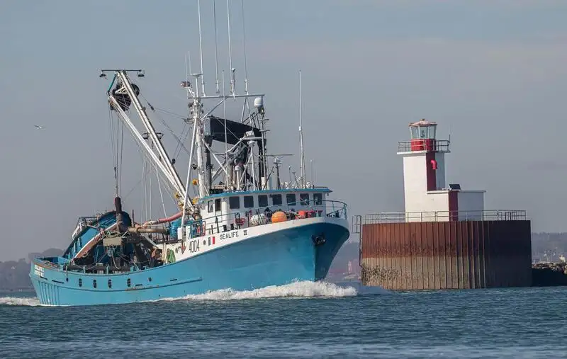 Purse seiner for sale