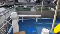 Catamaran for sale