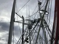 Trawler for sale