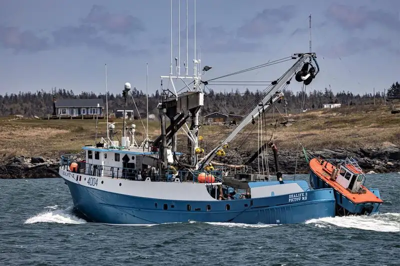 Purse seiner for sale
