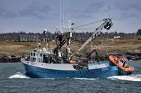 Purse seiner for sale