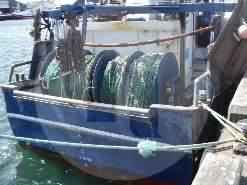 Live fish carrier for sale