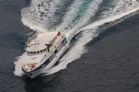 Cruise ship for sale