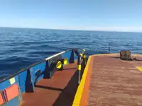 Towboat for sale