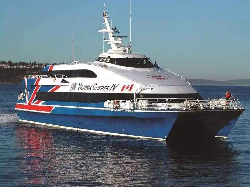 Catamaran for sale