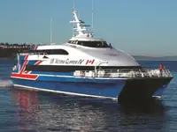 Catamaran for sale