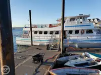 Ferry vessel for sale
