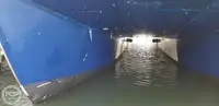 Catamaran for sale