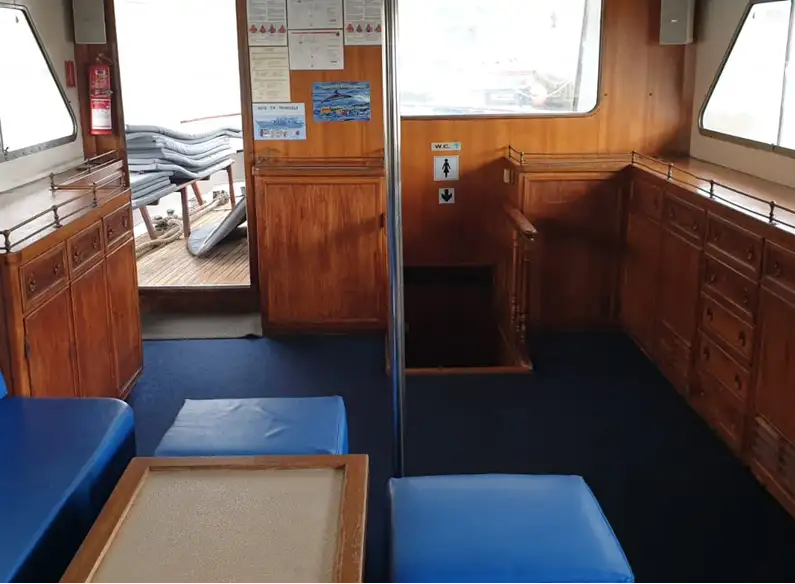 Cruise ship for sale