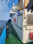 Towboat for sale