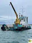 General Cargo/Multi-purpose for sale