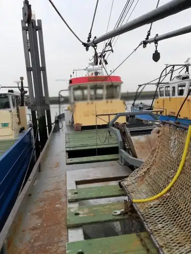Trawler for sale